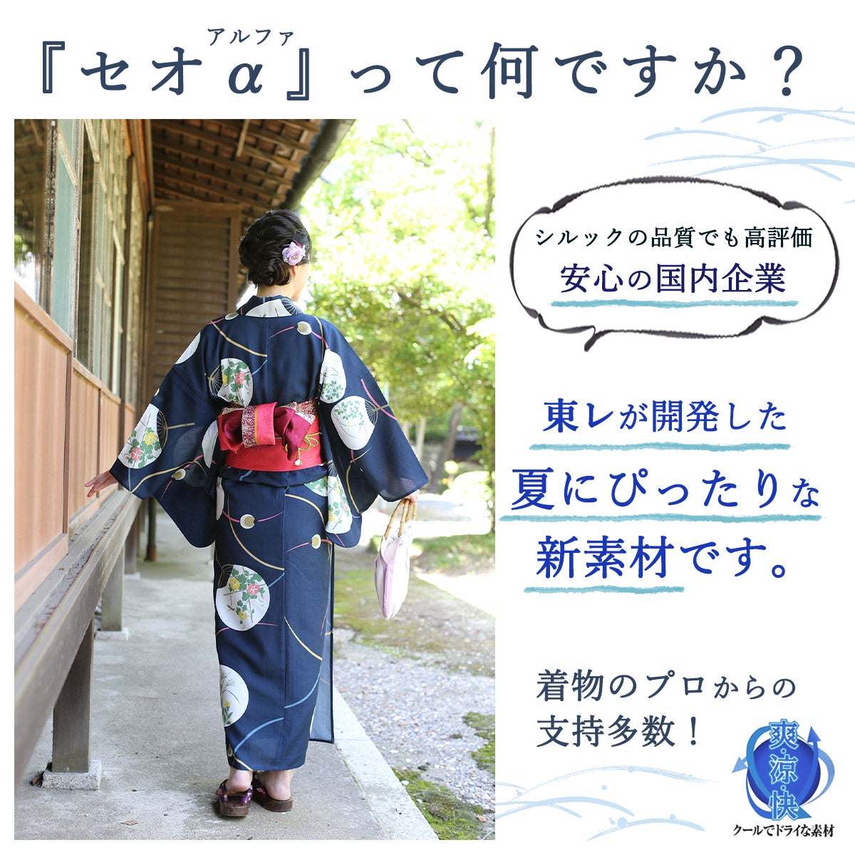 夏きもの兼用セオαゆかた 子持ち縞／ natsu edo NEO【洗える浴衣