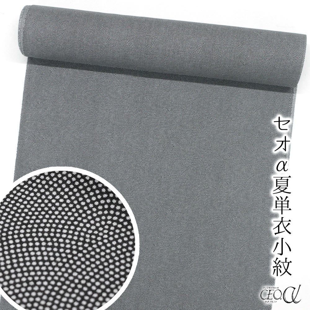 セオα単衣・夏の鮫小紋 2801 黒地／青海鮫【お仕立て付き価格】 抜き紋